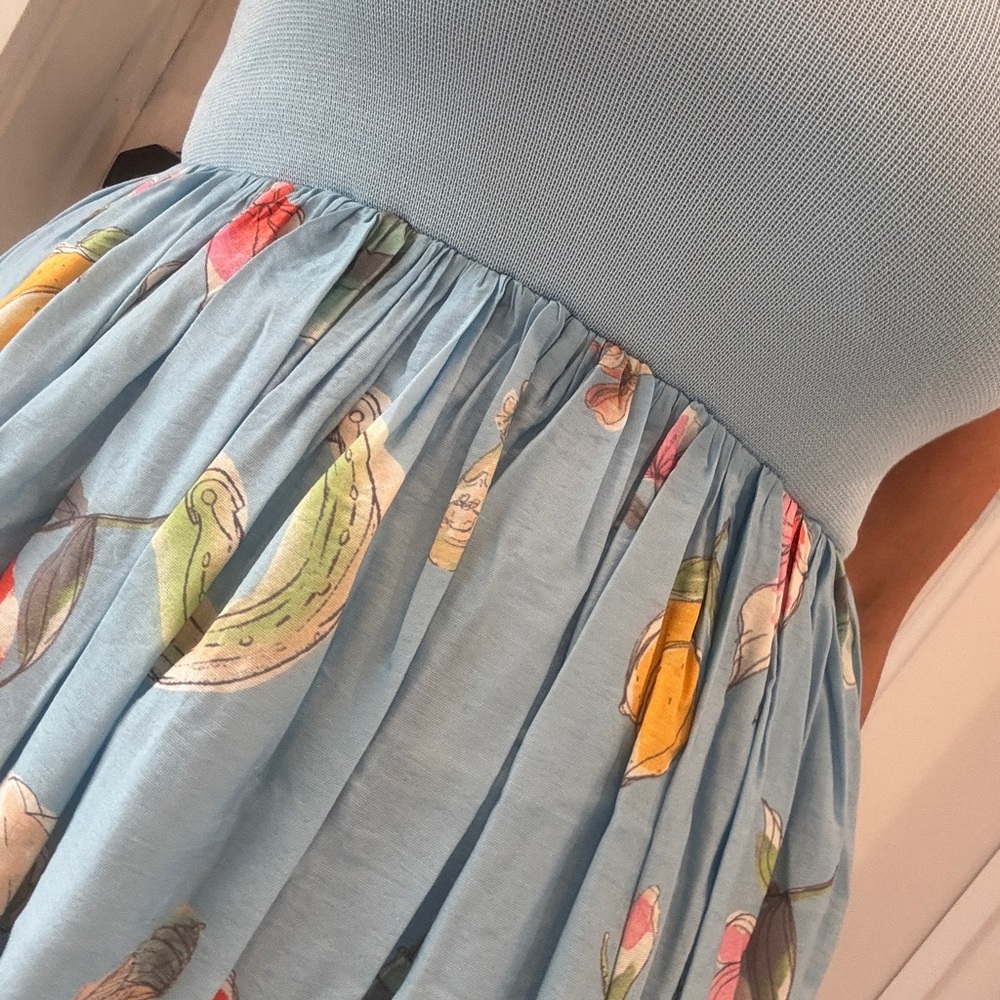 Moon River Light Blue Fruit-Print Sundress